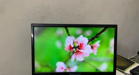 Monitor