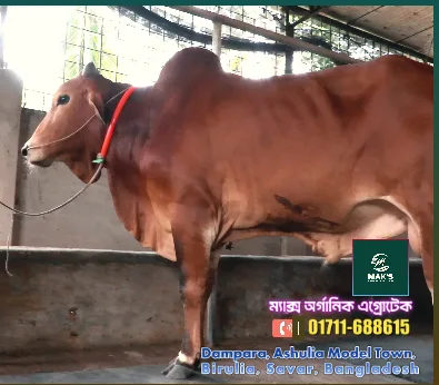 ম্যাক'স অর্গানিক এগ্রোটেক হালাল কুরবানি