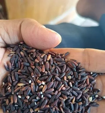 Black Rice