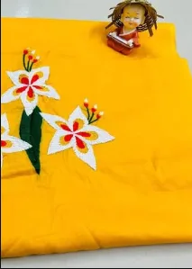 ব্লাউজ পিছ