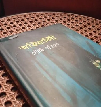 উপন্যাসের বই