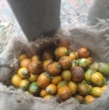 সুপারি
