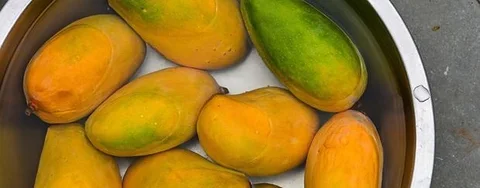 গোপালভোগ আম