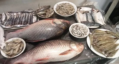 মাছ