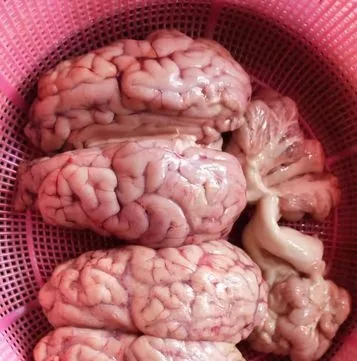 গরুর তাজা মগজ