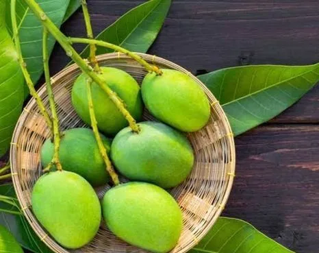 রাজশাহীর সুস্বাদু মিষ্টি আম