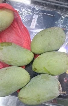 ফ্রেশ আম