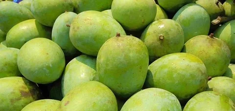 Himshagor Mango