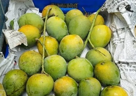 Himsagor Mango