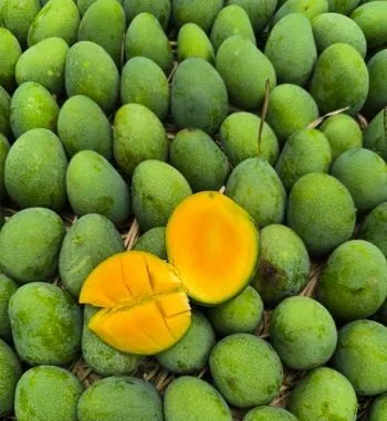 গোপালভোগ আম