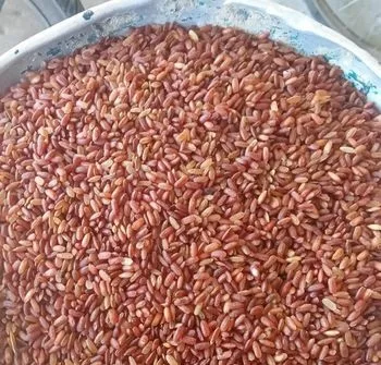 ফুল ফাইবার লাল চাল