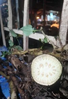 চুই ঝাল