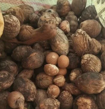 সুপারি