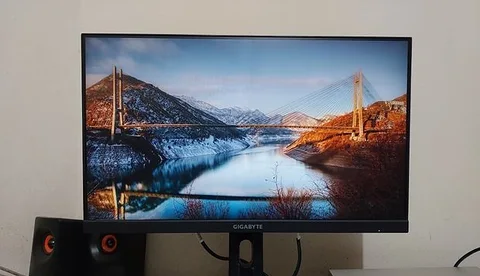 Monitor Official use