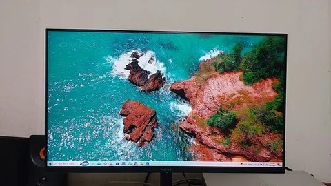 Monitor Official used