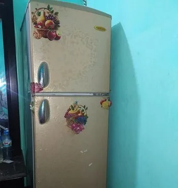 Refrigerator & Freeze
