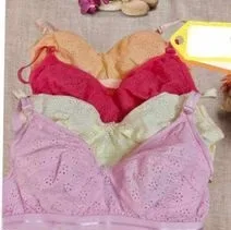 Ladies High Quality Bra
