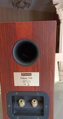 Dynaudio Focus 110