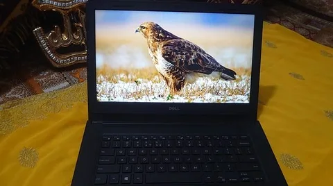 DELL CORE i3