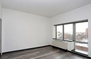 Jamaica Room For Rent