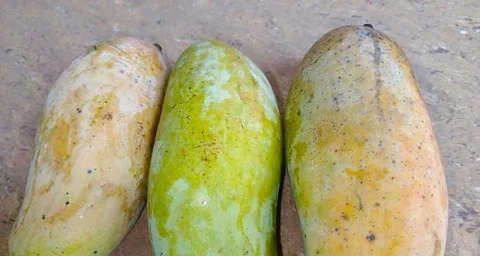 ব্যানানা ম্যাংগো