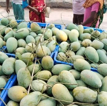 আম্রপালি