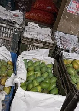 আমরুপালি