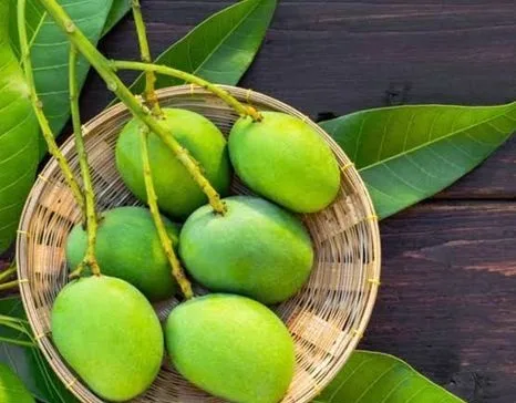 রাজশাহীর সুস্বাদু মিষ্টি আম