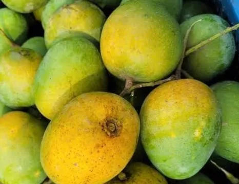 আম