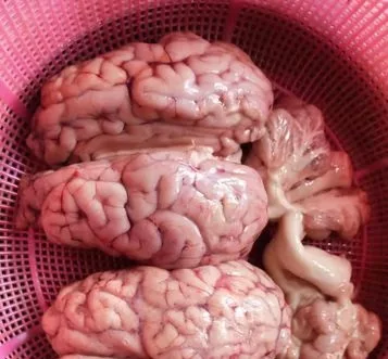 গরুর তাজা মগজ