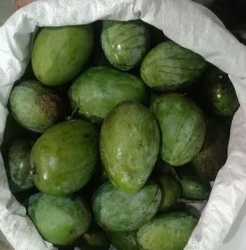 ৫০ কেজি কাঁচা আম Per KG