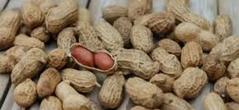দেশী বাদাম