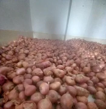পেঁয়াজ রসুন