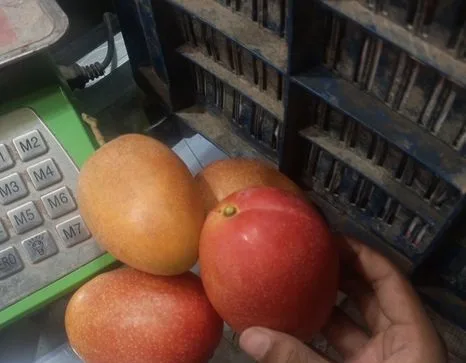 মিয়াজাকি আম