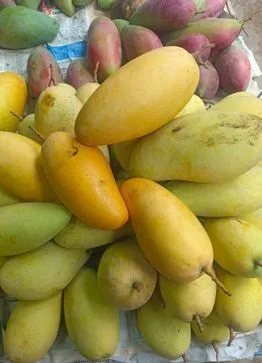 বিদেশী জাতের আম