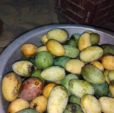 গাছপাকা দেশি আম
