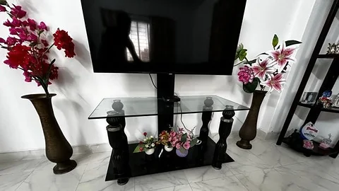 TV Trolley/Stand