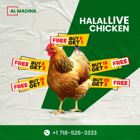 Al-Madina Live Poultry Corporation