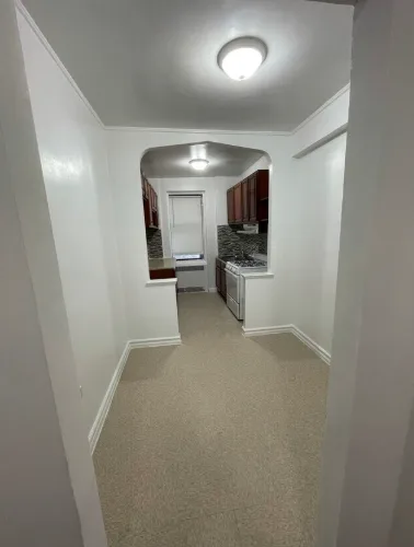 Jamaica Basement Rent Jamaica