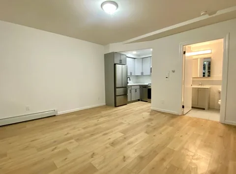 Jamaica Roommate Needed