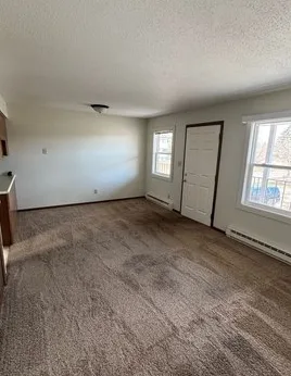 Hollis Roommate Needed