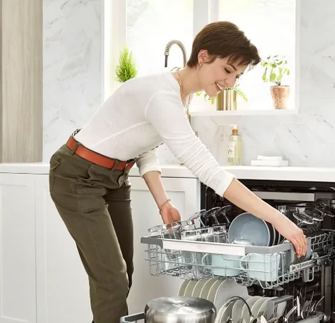 Michigan Dish Washer Needed