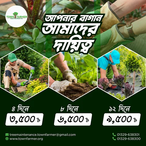 Tree Maintenance