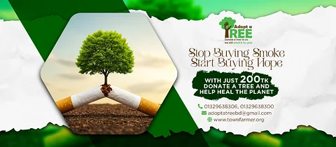 Adopt A Tree