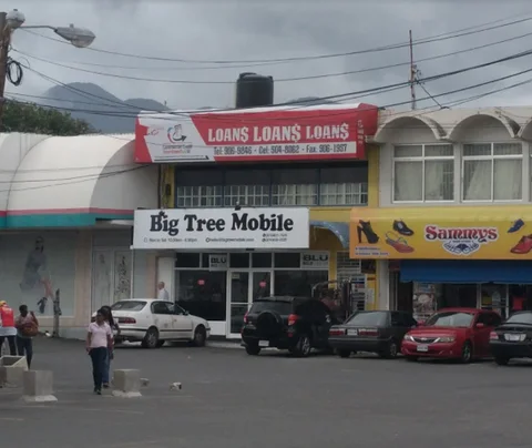 Big Tree Mobile / OBWAN Technology