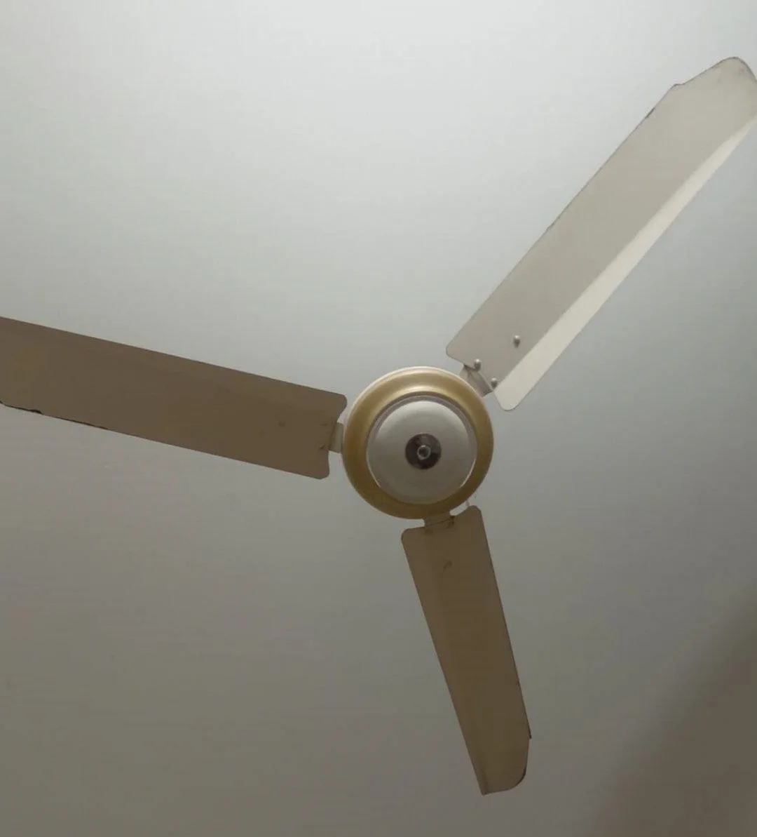 Ceiling Fan For Sale