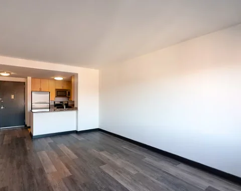 Basement For Rent in Jamaica