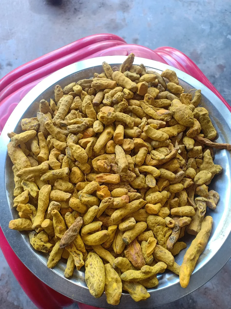 Turmeric