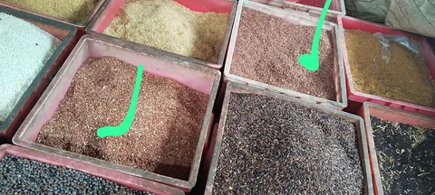 চাল