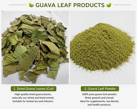 Dried Guava Leaf Cut - Herbal